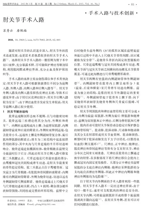 肘关节手术入路