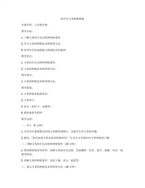 初中生玉米种植教案