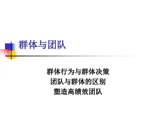 【决策管理】群体行为与群体决策