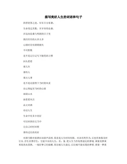 描写美好人生的词语和句子