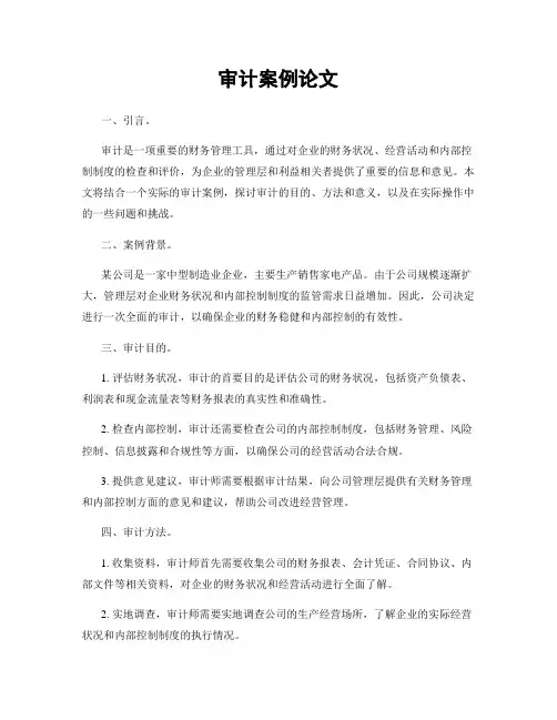 审计案例论文