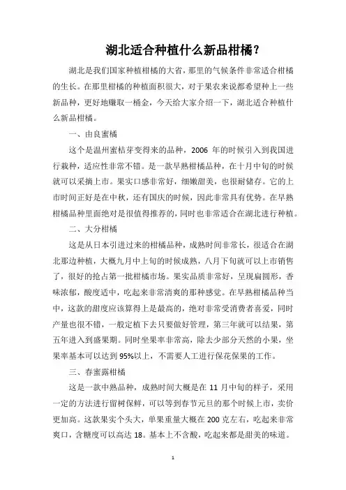 湖北适合种植什么新品柑橘？