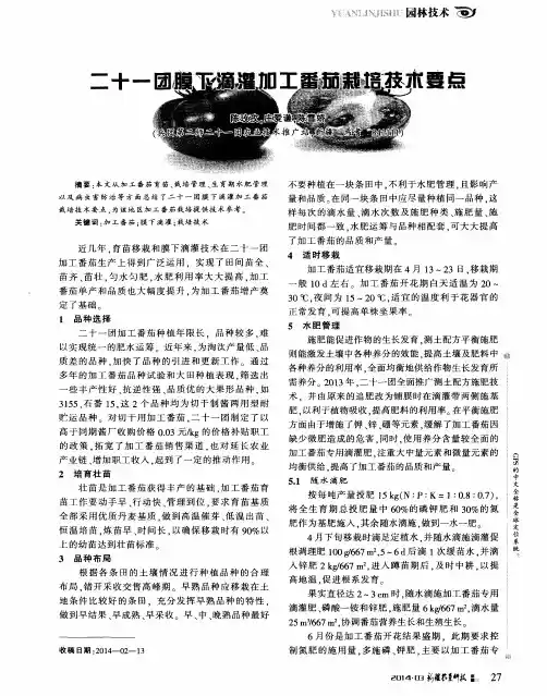 二十一圃膜下滴灌加工番茄栽培技术要点