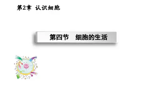 1.4细胞的生活+课件-2024-2025学年人教版七年级生物上册8