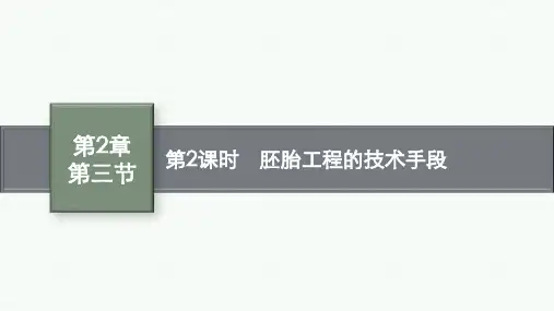 北师版高中生物学选择性必修3生物学技术与工程精品课件 第2章 第三节 第2课时 胚胎工程的技术手段