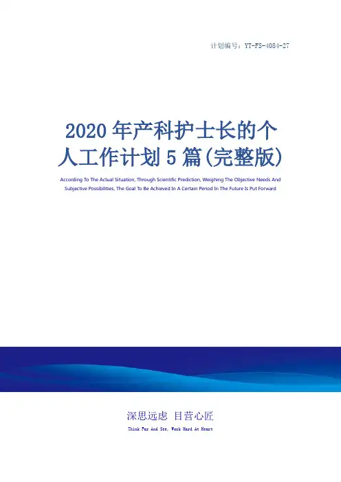 2020年产科护士长的个人工作计划5篇(完整版)