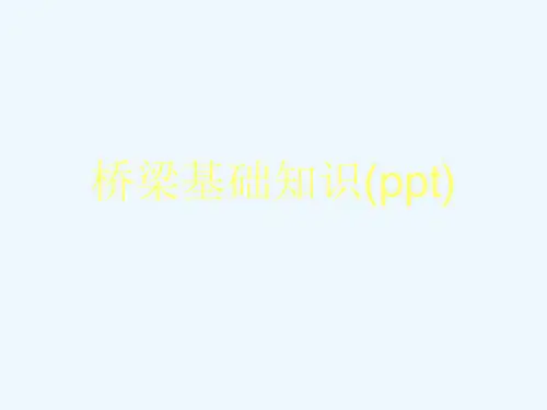 桥梁基础知识(ppt)
