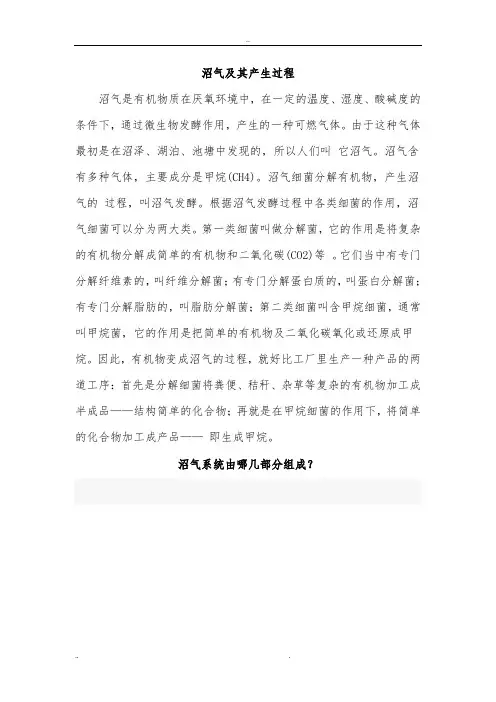沼气和产生过程