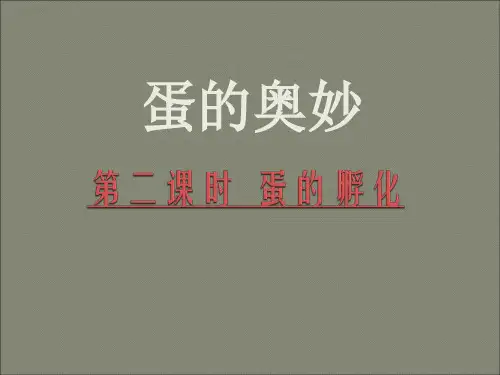 三年级科学下册蛋的奥妙第二课时 孵化技术 PPT课件