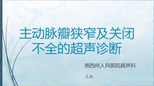 主动脉瓣狭窄及关闭不全的超声诊断 