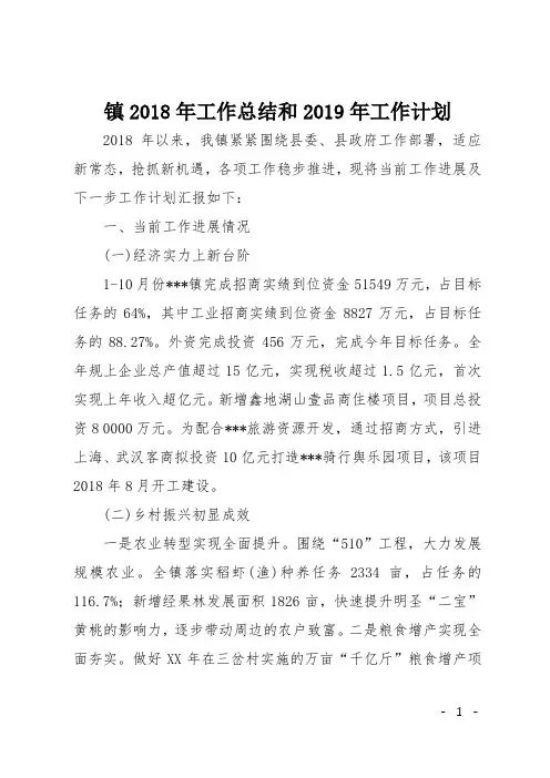 镇2018年工作总结和2019年工作计划
