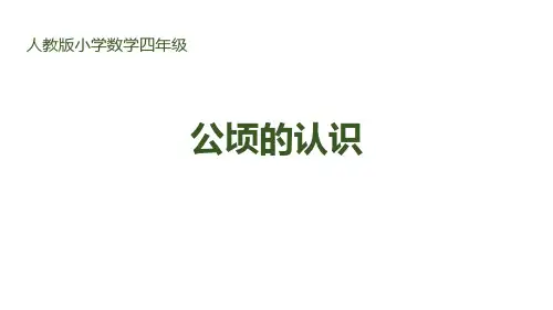 人教版四年级数学上册《公顷的认识》公顷和平方千米 教学课件31