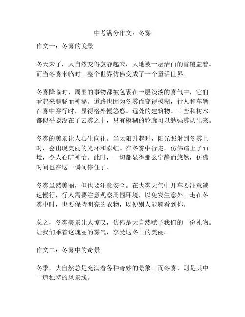 中考满分作文：冬雾