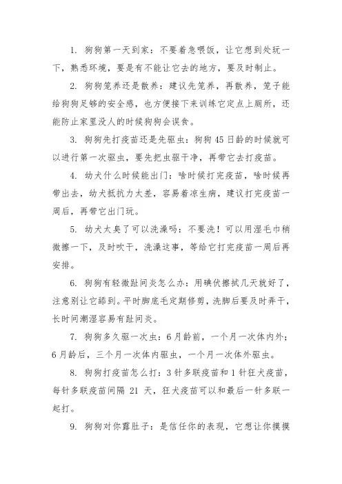 关于养狗的十个常识