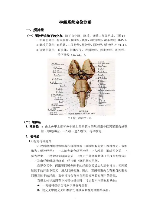 神经系统定位诊断