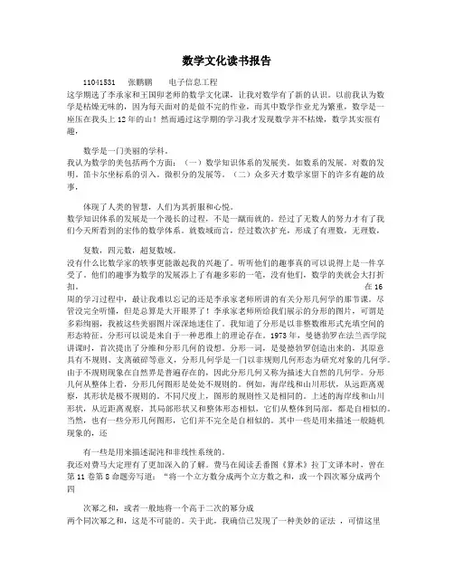 数学文化读书报告