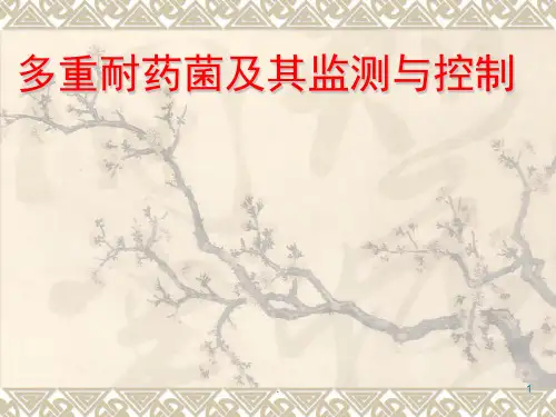 多重耐药菌知识培训ppt课件