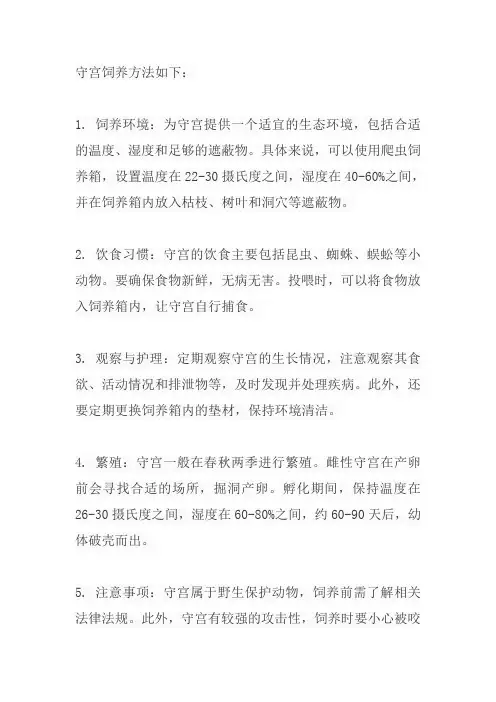 守宫饲养方法