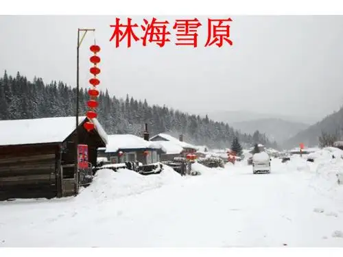 五年级品社下册《林海雪原》课件