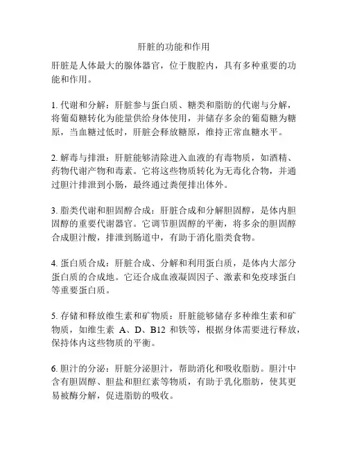 肝脏的功能和作用