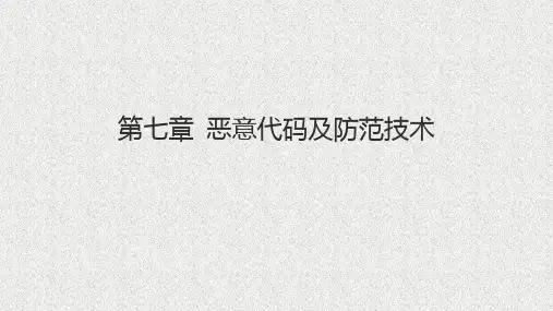 《信息安全理论与技术》课件第7章 恶意代码及防范技术