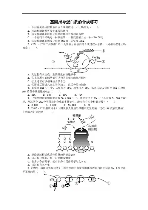 生物人教必修课后训练：第四章第节基因指导蛋白质的合成 含解析