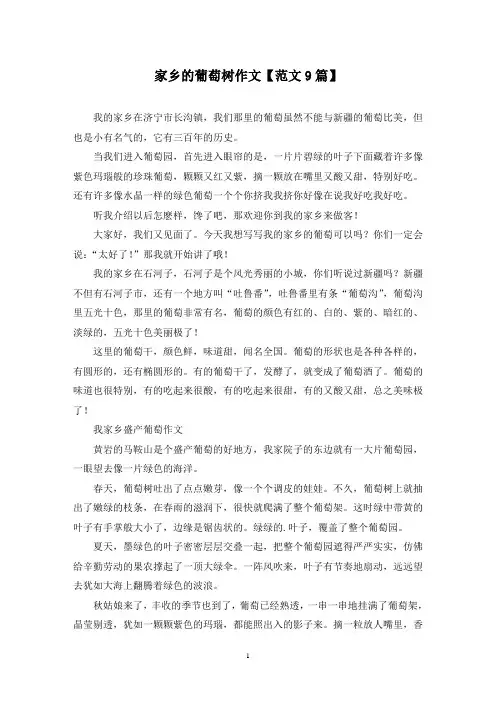精选家乡的葡萄树作文【范文9篇】