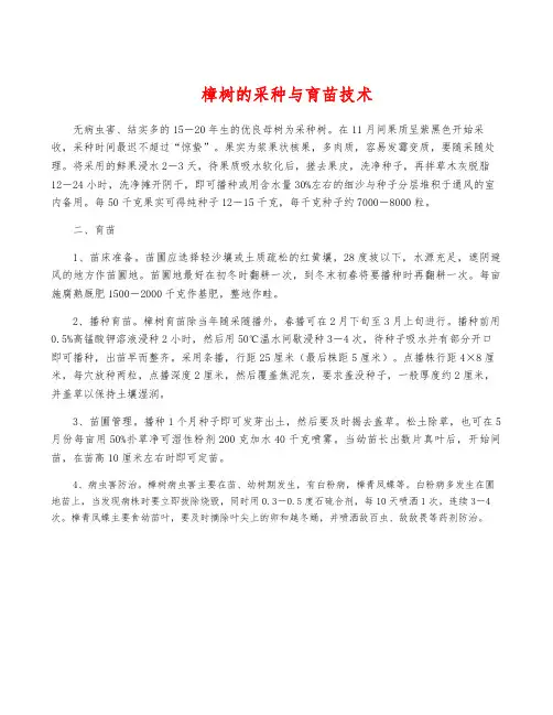 樟树的采种与育苗技术