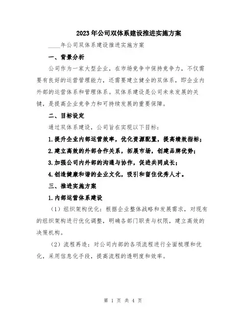 2023年公司双体系建设推进实施方案