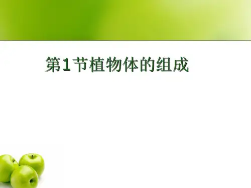 9.1-植物体的组成