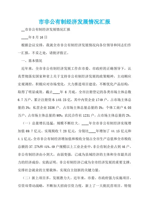 市非公有制经济发展情况汇报  
