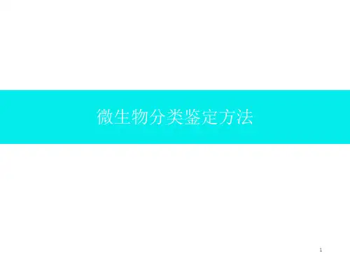 微生物分类鉴定方法ppt课件