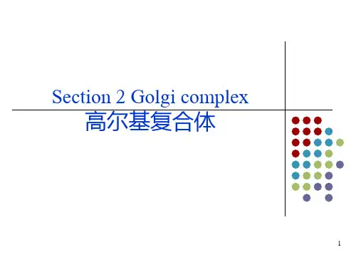 细胞生物学高尔基体