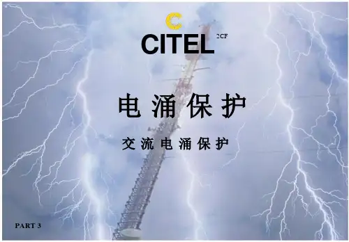 交流电涌保护课件