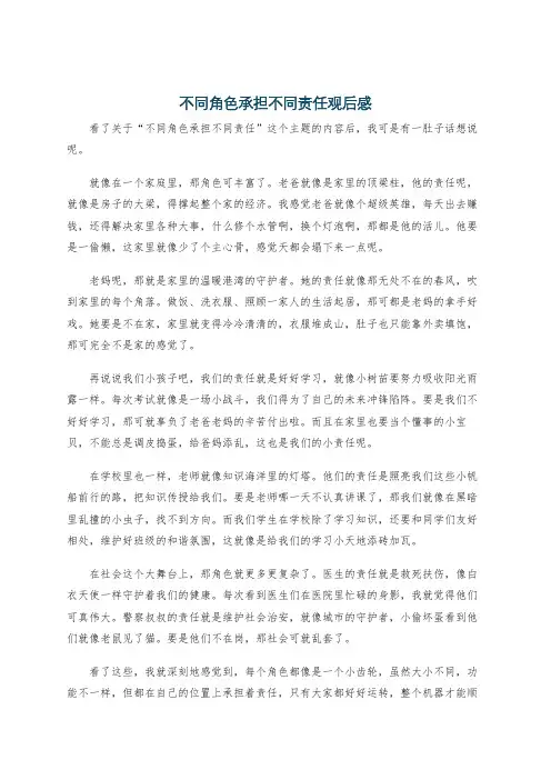 不同角色承担不同责任观后感
