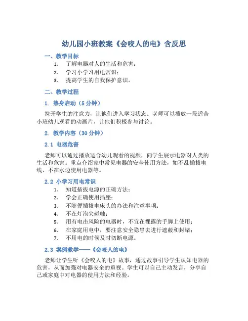 幼儿园小班教案《会咬人的电》含反思