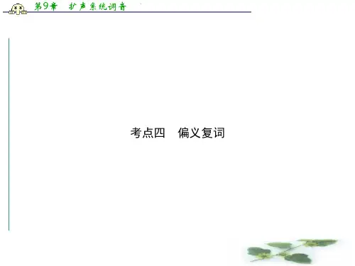 高考新一轮语文总复习考点突破课件：2.1 理解常见文言实词在文中的含义 考点四 偏义复词
