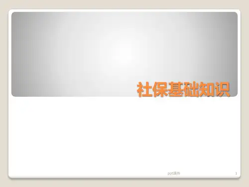 社保基础知识  ppt课件