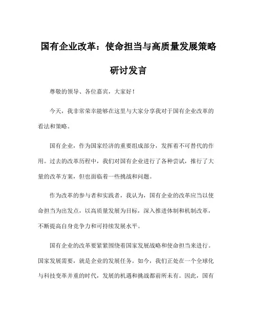 国有企业改革：使命担当与高质量发展策略研讨发言