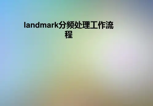 landmark分频处理工作流程