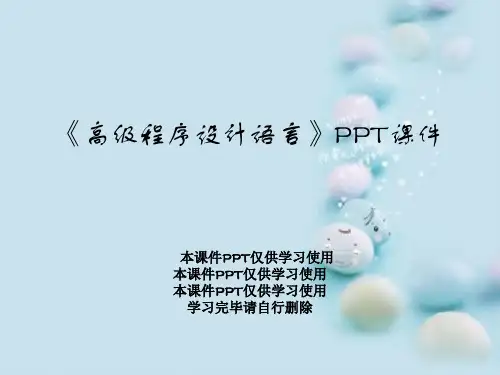 《高级程序设计语言》PPT课件