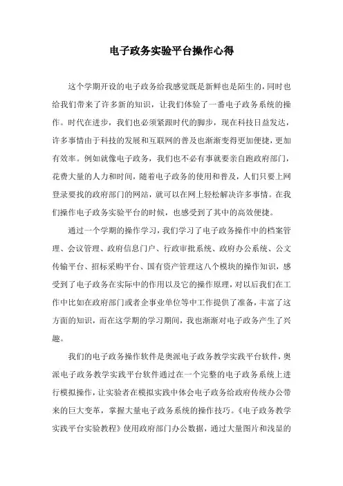电子政务实验平台操作心得