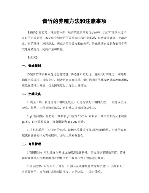 青竹的养殖方法和注意事项