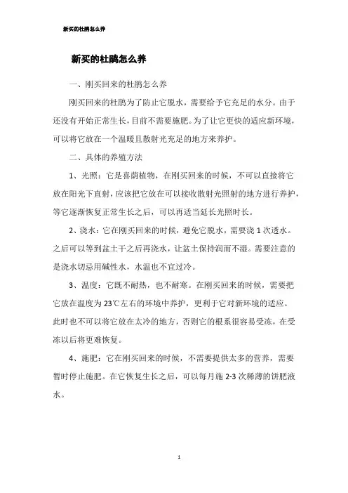 新买的杜鹃怎么养