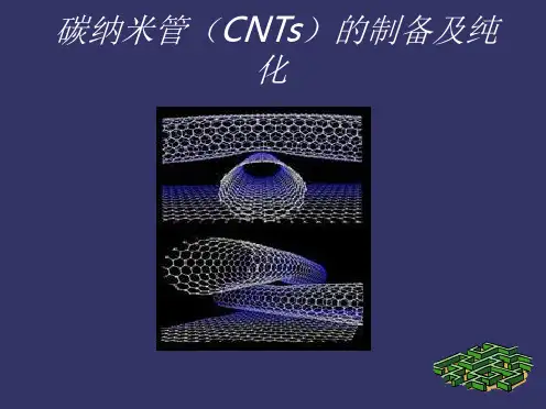 碳纳米管的制备与纯化-李玲玲