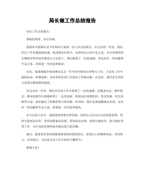 局长做工作总结报告