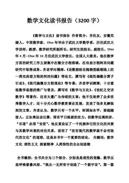 数学文化读书报告（3200字）