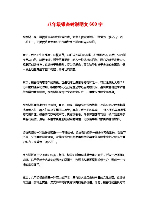 八年级银杏树说明文600字