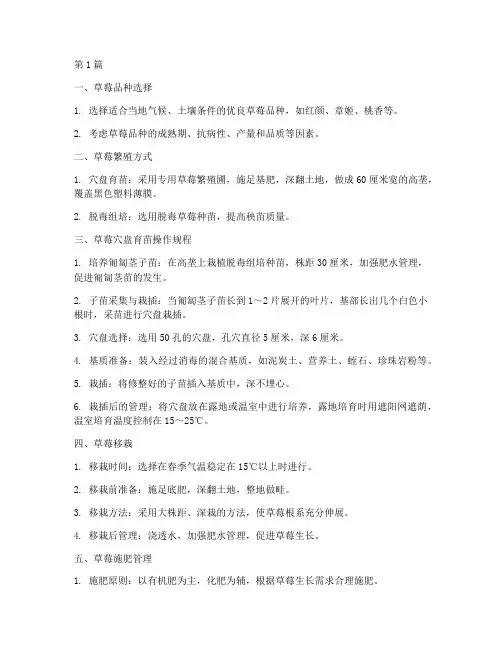 草莓培育技术操作规程(3篇)