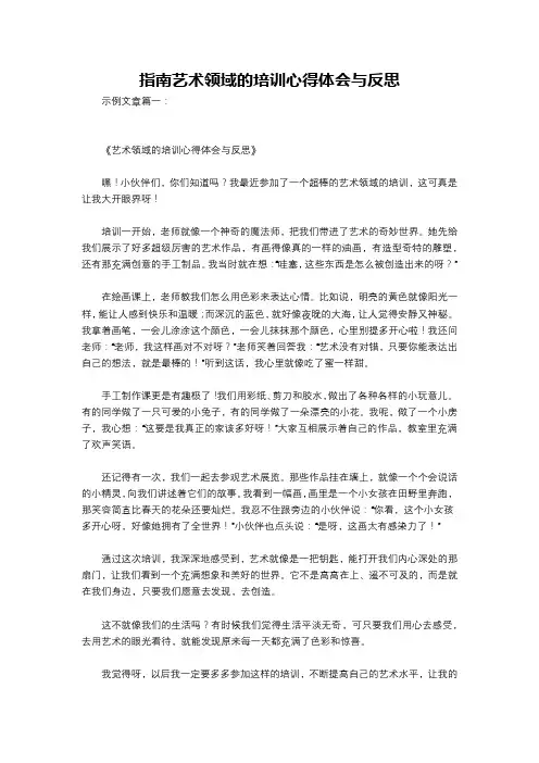 指南艺术领域的培训心得体会与反思